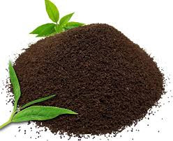 Tea Powder