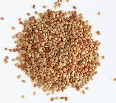 Horse Gram