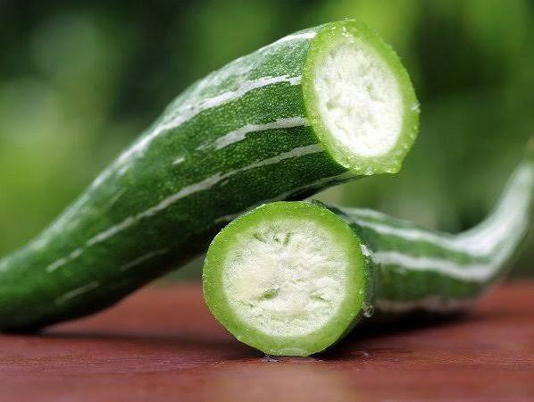 Snake Gourd
