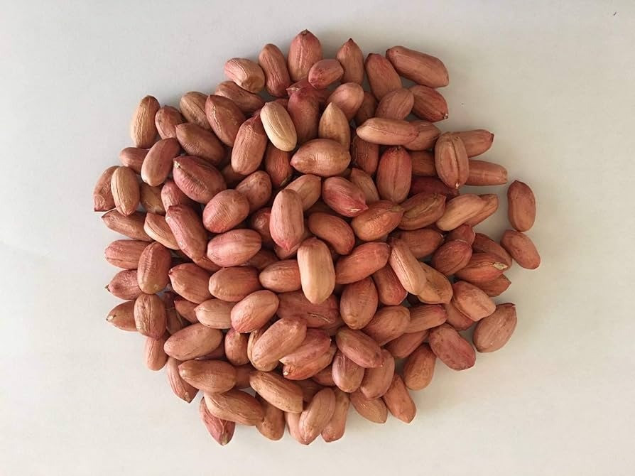 Peanut /Groundnut