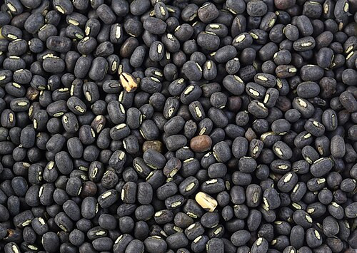 Black Gram Whole