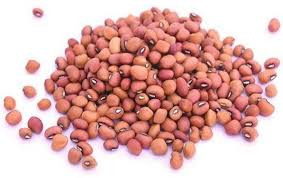 vanpayar / Red Bean / Cowpea