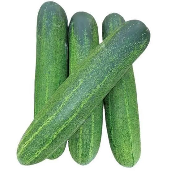 Cucumber